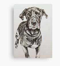 Black Dog Canvas Print