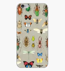 The Usual Suspects - Insects on grey - watercolour bugs pattern by Cecca Designs iPhone Case