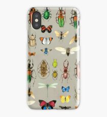 The Usual Suspects - Insects on grey - watercolour bugs pattern by Cecca Designs iPhone Case/Skin