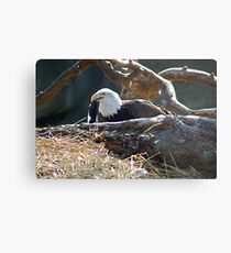 The Magestic Metal Print