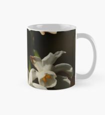 Time Waits for No Man Mug