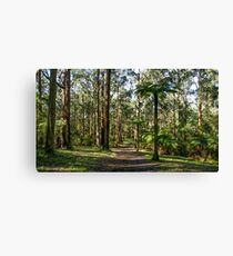 Mount Dandenong, Victoria Canvas Print