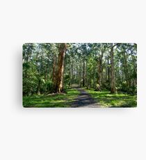 Mount Dandenong, Victoria Canvas Print