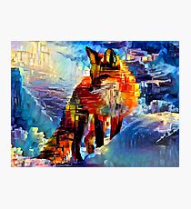 fox Photographic Print