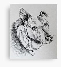 Dog Begging Canvas Print