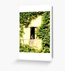Roosting Greeting Card