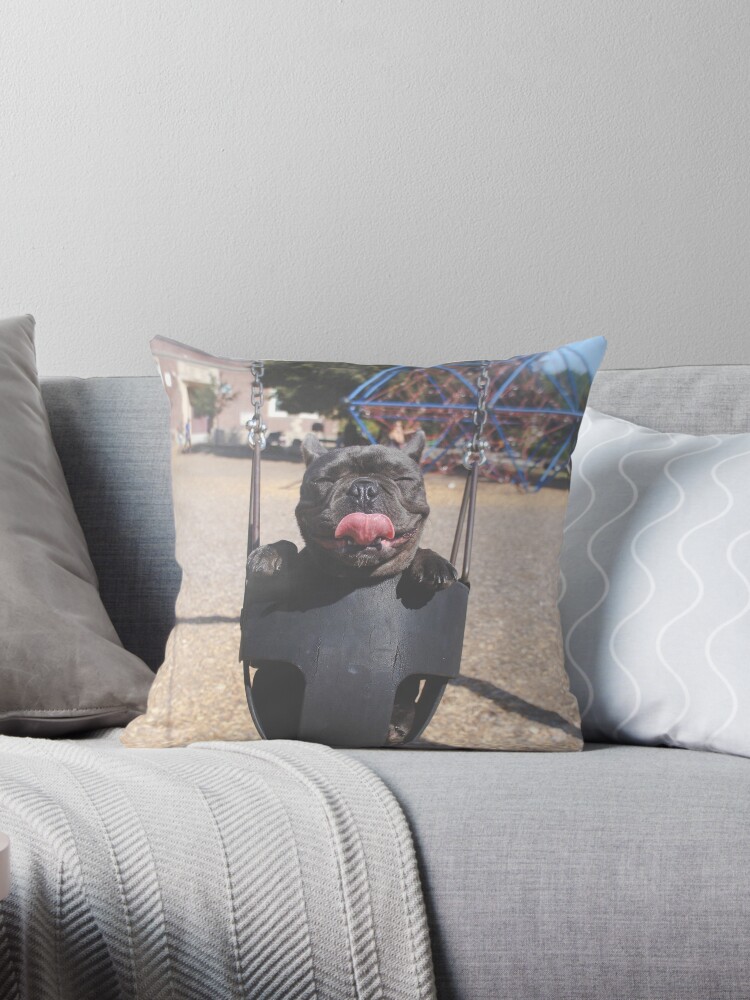 pug in a swing