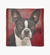 Painting of Black and White Boston Terrier on Burgundy Background Scarf