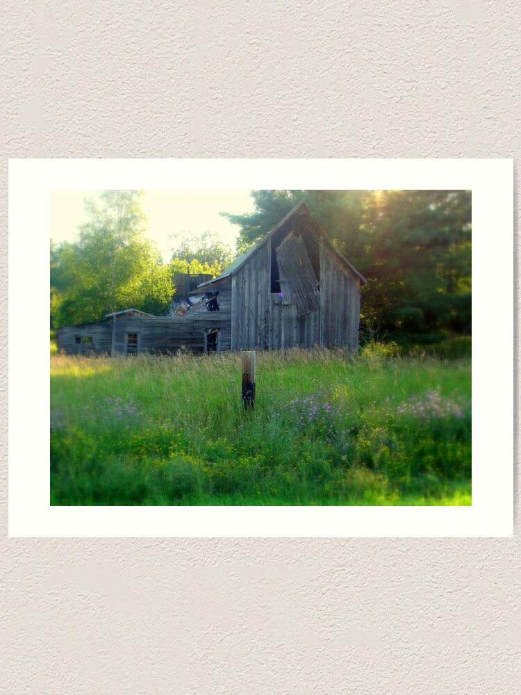 Alternate view of Old Beauty Art Print