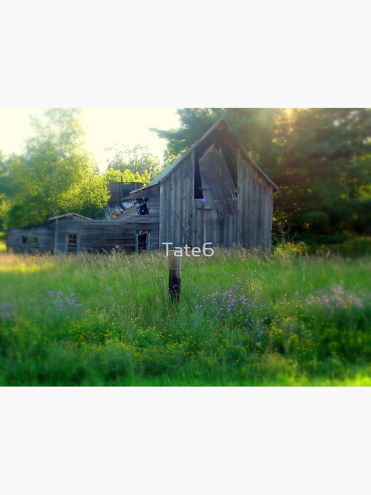 Old Beauty by Tate6