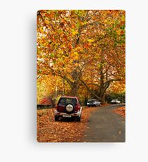 Bright Canvas Print