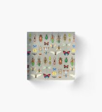 The Usual Suspects - Insects on grey - watercolour bugs pattern by Cecca Designs Acrylic Block