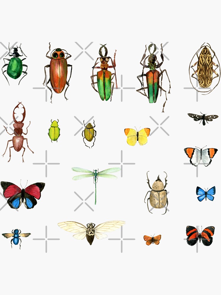 The Usual Suspects - Insects on grey - watercolour bugs pattern by Cecca Designs by Cecca-Designs