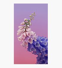 Flume - Skin Photographic Print