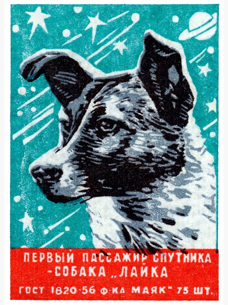 1957 Laika the Space Dog by historicimage