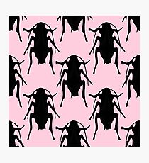 Pink Roaches Photographic Print