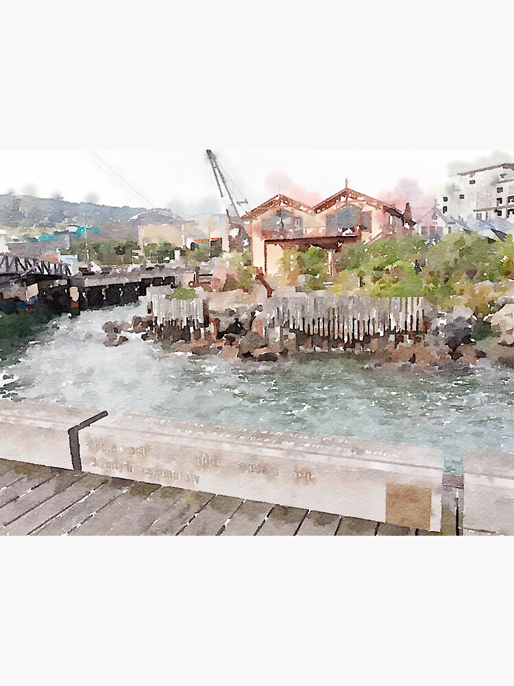 Wellington Harbor Watercolor by douglasewelch