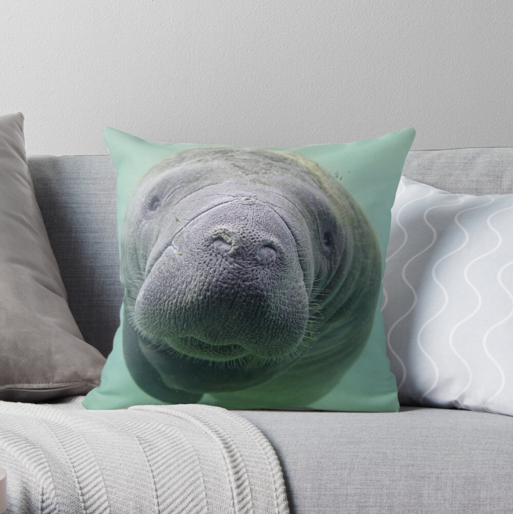 manatee body pillow