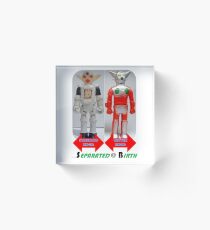 Seperated at Birth Robots 1 Acrylic Block