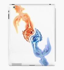 dragons iPad Case/Skin