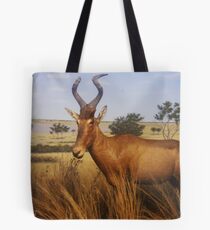 exhibit Tote Bag