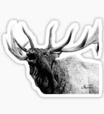 Bull elk Sticker