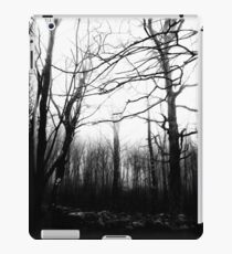 Desolate iPad Case/Skin
