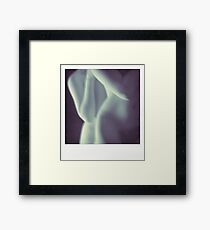 Nude girls Framed Print