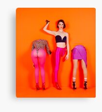 St. Vincent art Canvas Print