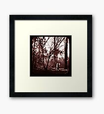 Fae Whispers ii Framed Print
