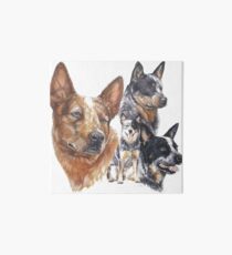 Australian Cattle Dog Art Board