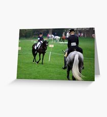 Dressage warm up... Greeting Card