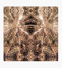 Happy New Year Gold sparkly fireworks Photographic Print