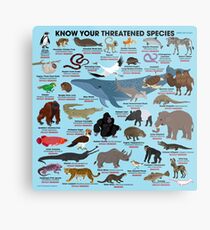 Know Your Threatened Species Metal Print