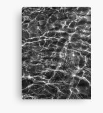 purify Canvas Print