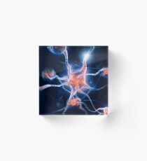 Neurons and neural connections art photo print Acrylic Block