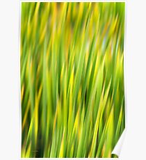 Green Nature Abstract Poster