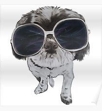 Joe Cool! Poster