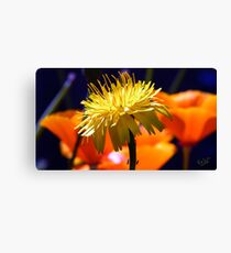 Dressed for the Ball Canvas Print
