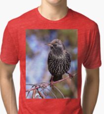 le Best des Etourneaux 1.01.2015 (c)(h) 02 by Olao-Olavia / Okaio Créations Tri-blend T-Shirt