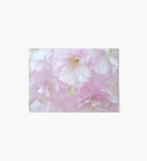 Blossoms in Pastel Pink Art Board