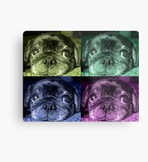 Black Pug dog Metal Print