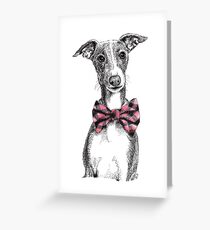 Italian Greyhound wearing a snazzy bow tie Greeting Card