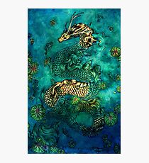 Koi Pond Photographic Print