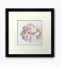 Lámina enmarcada Pink Succulent II