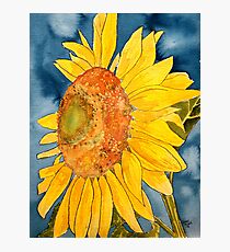 macro sunflower watercolor painting Photographic Print