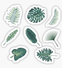 Palm leaves Sticker