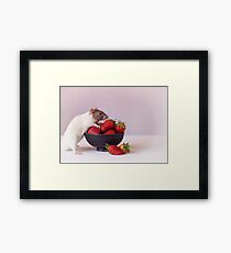 Snoozy loves strawberries Framed Print