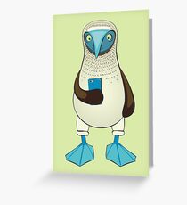Blue-footed Booby with Phone Greeting Card