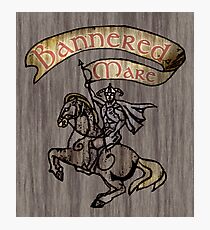 The Bannered Mare Photographic Print